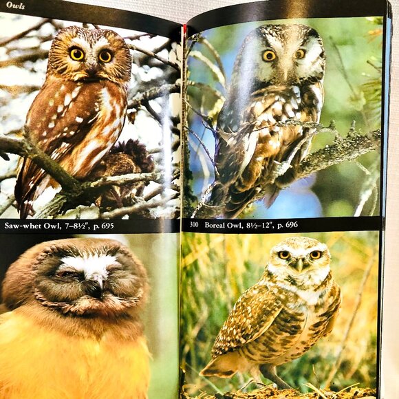The Audubon Society Field Guide to North American Birds Vintage 1980s Book - Picture 8 of 16